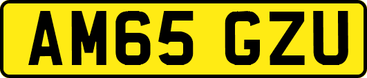 AM65GZU