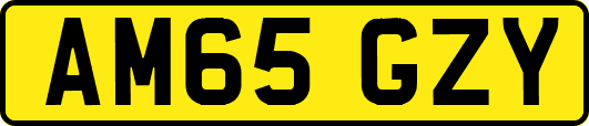 AM65GZY