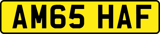 AM65HAF