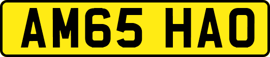 AM65HAO