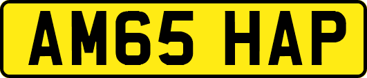 AM65HAP