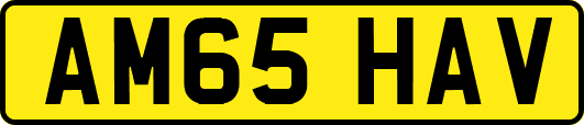 AM65HAV