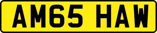 AM65HAW