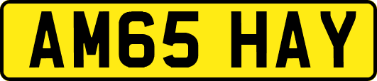 AM65HAY