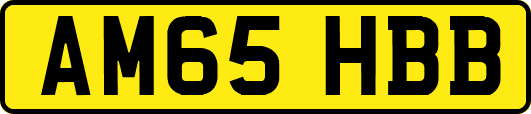 AM65HBB