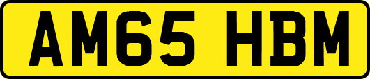 AM65HBM