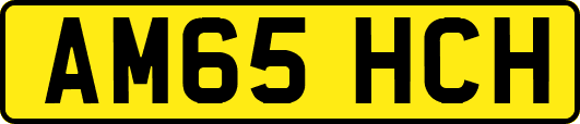 AM65HCH