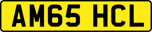 AM65HCL