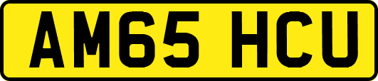 AM65HCU