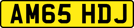 AM65HDJ
