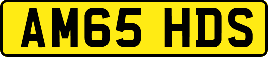 AM65HDS