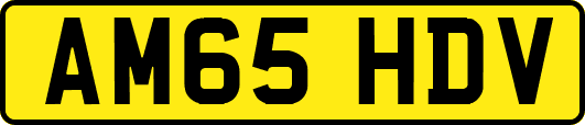 AM65HDV