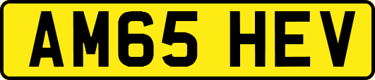 AM65HEV