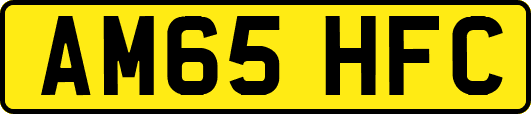 AM65HFC