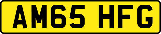 AM65HFG