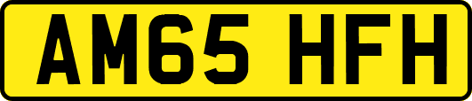 AM65HFH