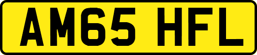 AM65HFL