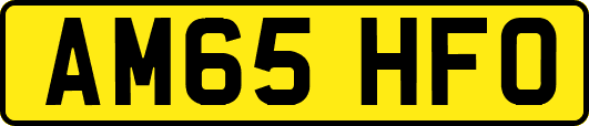 AM65HFO