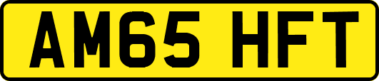 AM65HFT