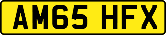 AM65HFX