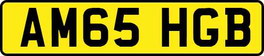 AM65HGB