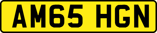 AM65HGN