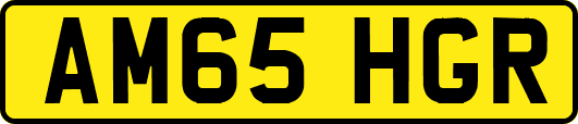 AM65HGR