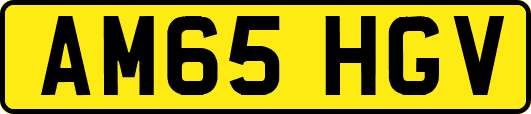 AM65HGV