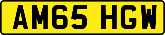 AM65HGW