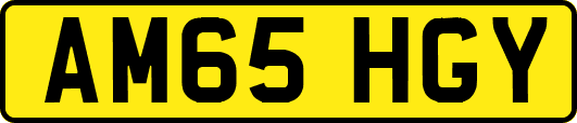 AM65HGY