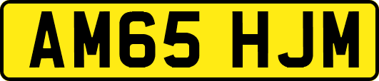 AM65HJM