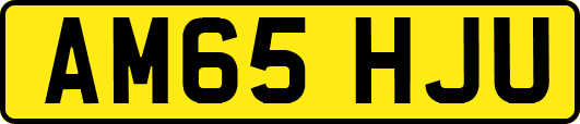 AM65HJU