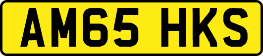 AM65HKS