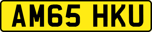 AM65HKU