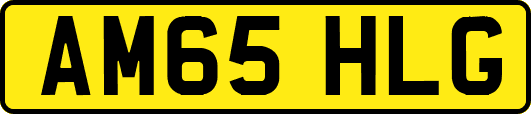 AM65HLG