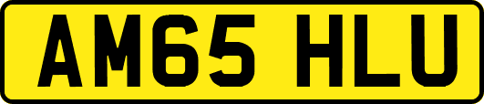 AM65HLU
