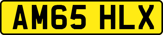 AM65HLX