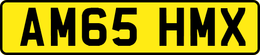 AM65HMX