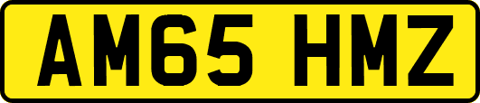 AM65HMZ