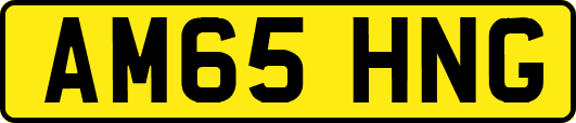 AM65HNG