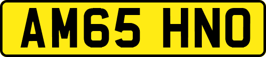 AM65HNO
