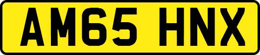 AM65HNX
