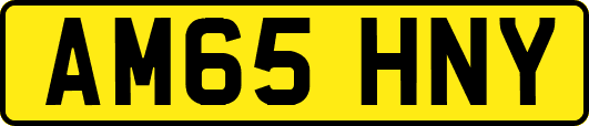 AM65HNY