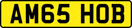 AM65HOB
