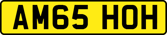 AM65HOH