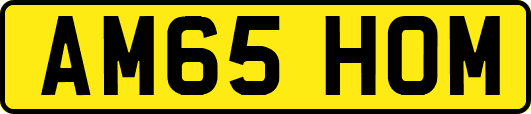 AM65HOM
