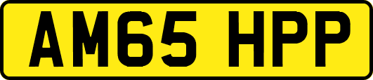 AM65HPP