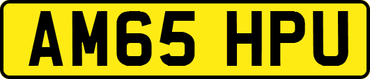 AM65HPU