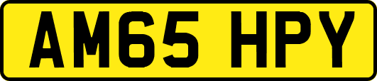 AM65HPY