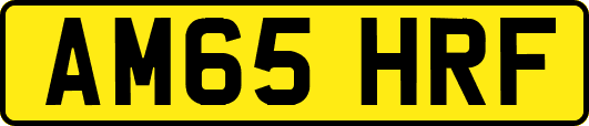 AM65HRF
